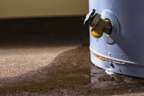 Best Mold removal after water damage  in Derby, CO