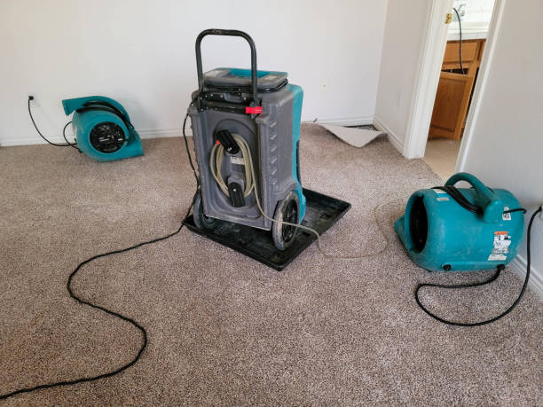 Best Water damage restoration near me  in Derby, CO