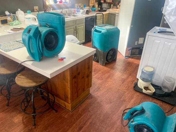 Best Commercial water damage restoration  in Derby, CO