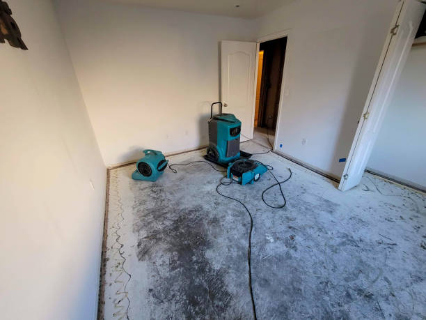  Derby, CO Water damage restoration Pros