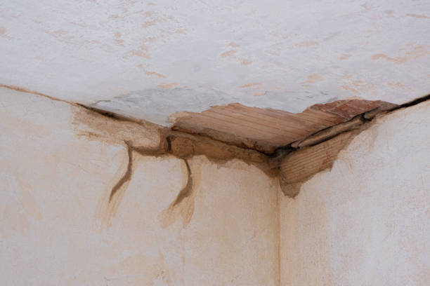 Trusted CO Water damage restoration Experts