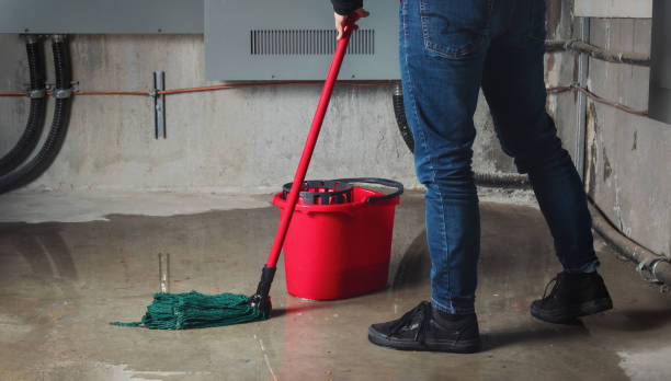 Best Water damage restoration process  in Derby, CO