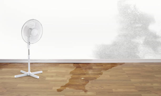 Sewage cleanup and water damage restoration in CO