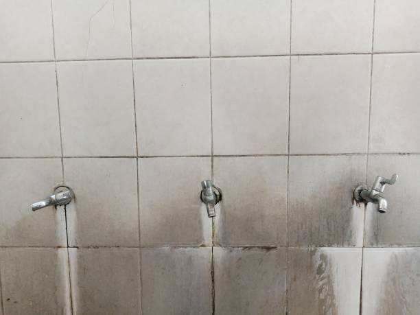 Best Water damage contractors near me  in Derby, CO