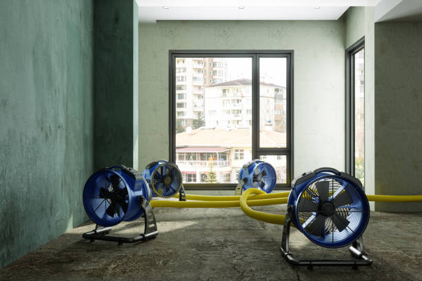 Best Ceiling water damage repair  in Derby, CO